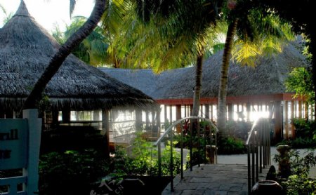 椰子岛酒店图片