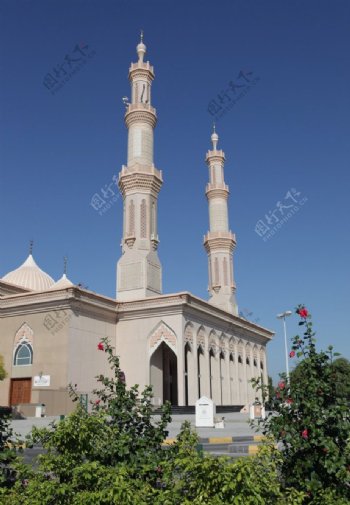 沙迦清真寺图片