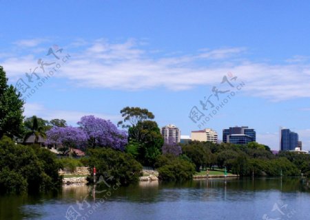 悉尼的parramatta河接近源头图片