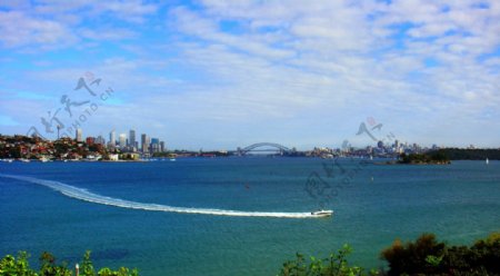 动感的悉尼湾图片