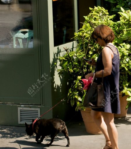 巴黎巴黎街上的贵妇人和爱犬图片