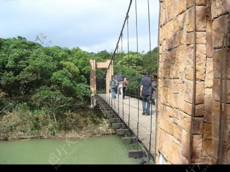 台灣吊橋图片