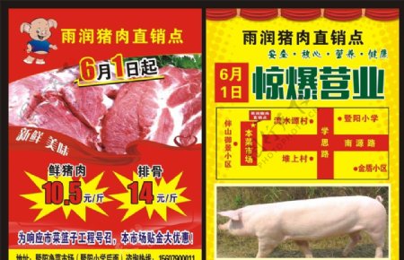 猪肉宣传单图片