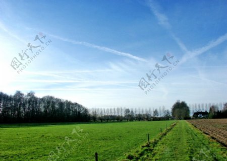 荷兰农场图片