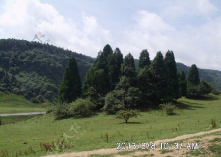 仙女山景色图片