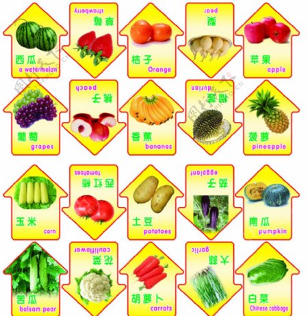 幼儿园水果蔬菜图图片