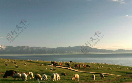 新疆赛里木湖高清图片