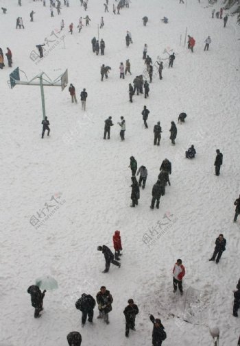 雪中人群图片