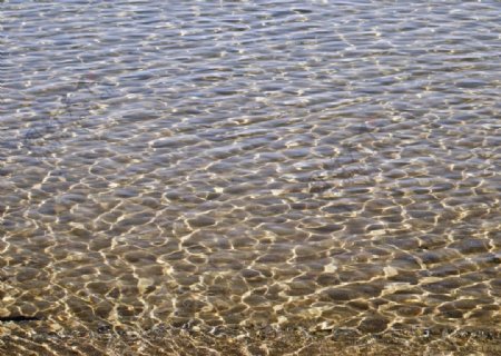 清澈透明的海水图片
