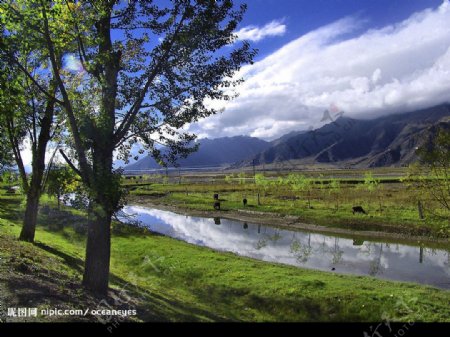 西藏的田原风貌图片