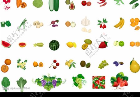 矢量水果蔬菜图图片