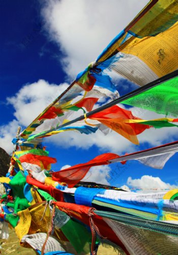 西藏风马旗图片