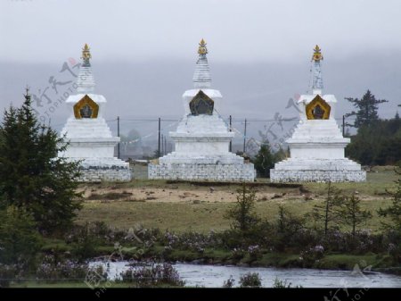 西藏之行图片