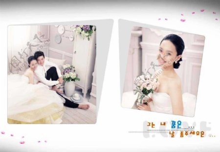 韩式唯美婚纱摄影PSD模版图片