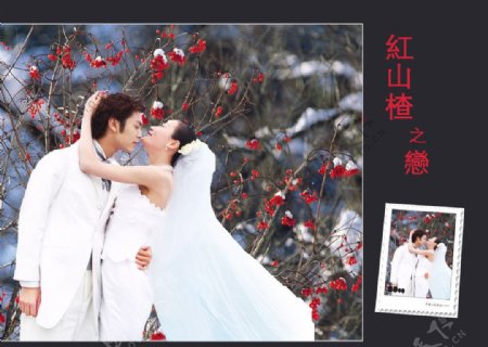 雪景婚纱摄影模板图片