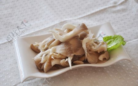 火锅涮菜蘑菇图片