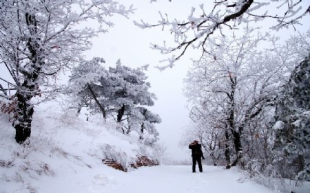 渑池韶山雪景图片