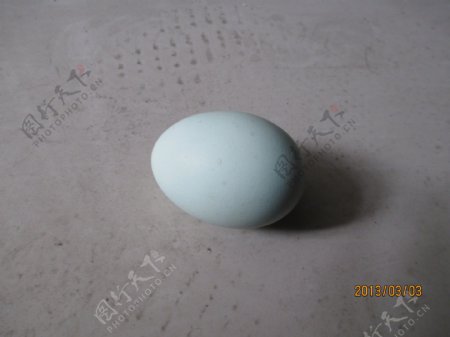 大鸡蛋绿壳鸡蛋图片