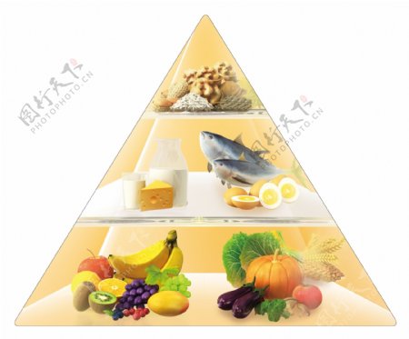 蔬菜金字塔图片
