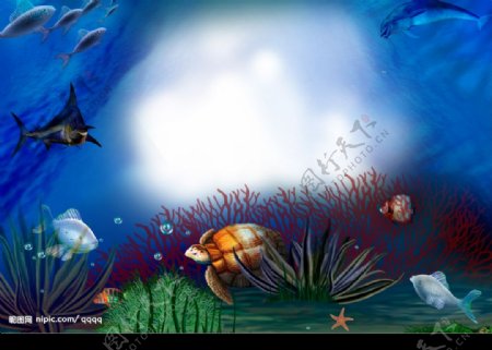 海底世界精品相框图片
