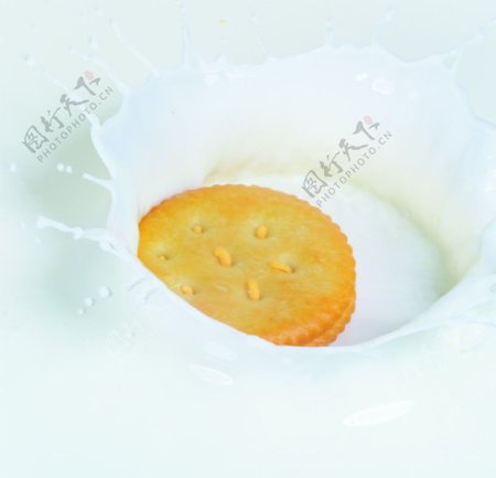 动感牛奶饼干图片