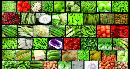DM蔬菜素材图片