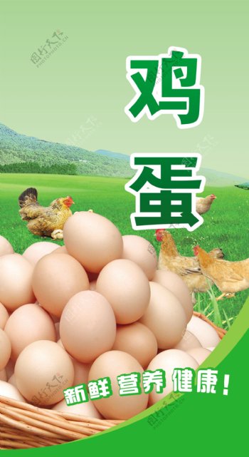 鸡蛋海报包柱图片