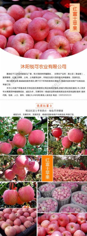 淘宝水果红富士苹果详情设计图片