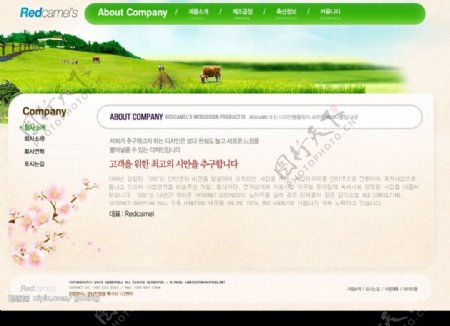 韩国奶牛牧场网站首页设计图片