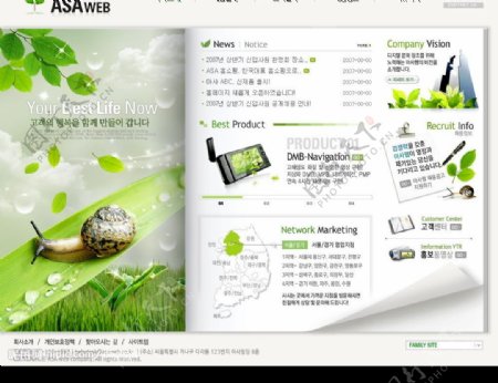 绿色网页模板完整套装79图片
