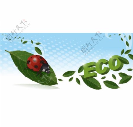 ECO标志图片