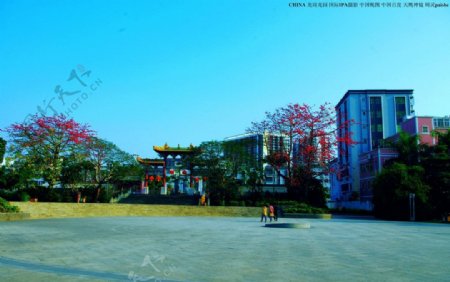 中国龙园龙文化公园图片