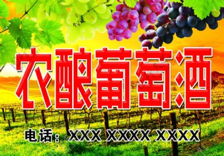 农酿葡萄酒图片