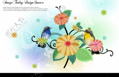 鸟跟花图片