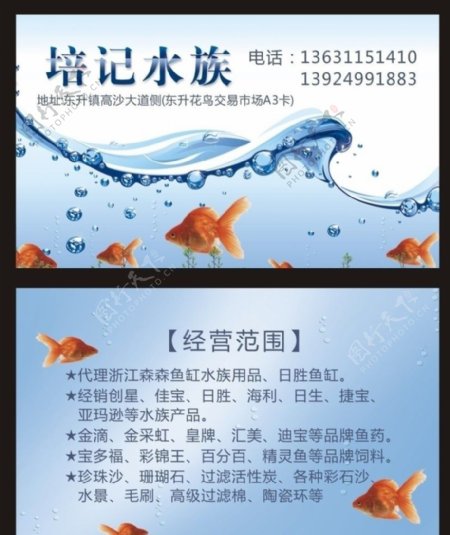 水族名片图片