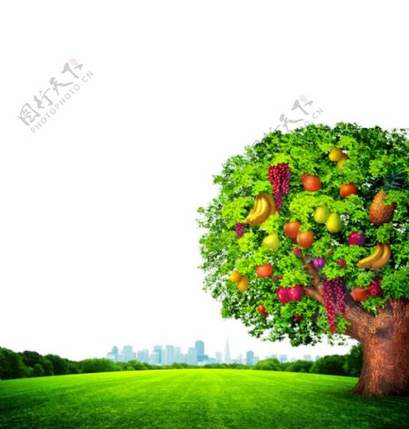 长满果实的树未分层图片