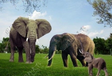 大象群雕设计图图片