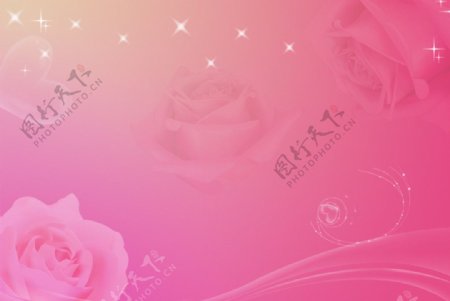 玫瑰粉色浪漫背景图片