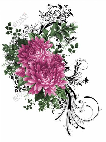 漂亮的手绘菊花图片