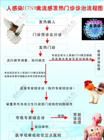 人感染H7N9禽流感图片