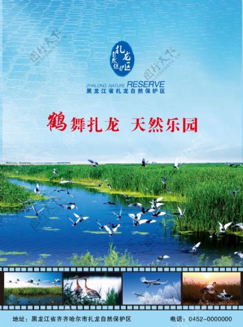 鹤舞扎龙湿地环保海报图片