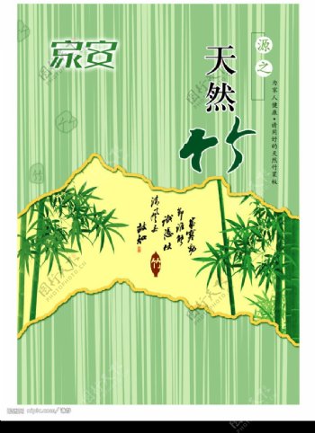 天然竹图片