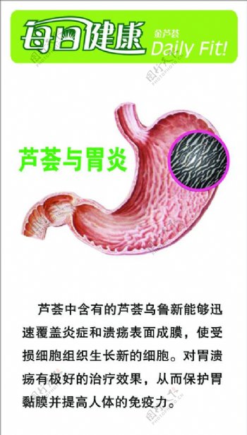芦荟与胃炎图片