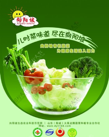 蔬菜宣传海报图片