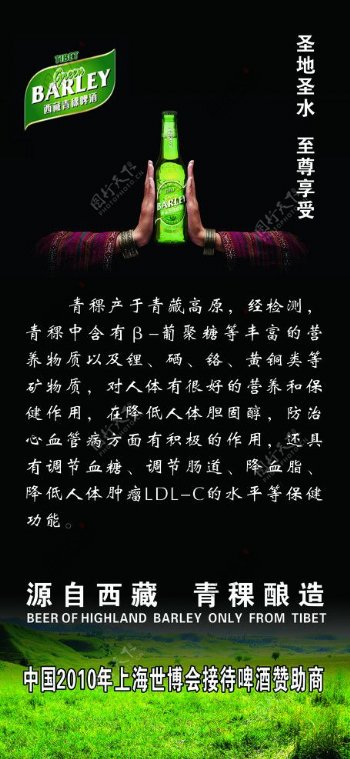 西藏青稞酒图片