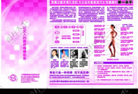女性美容养生荷尔蒙宣传页展板图片