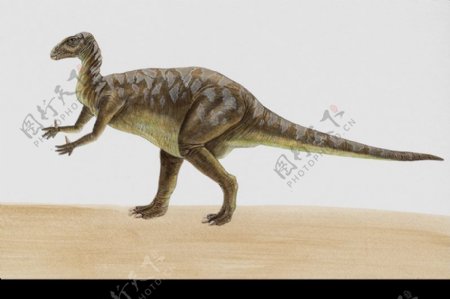白垩纪恐龙0038
