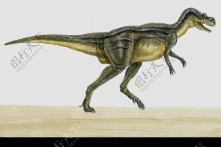 白垩纪恐龙0042