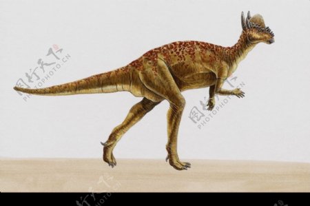 白垩纪恐龙0047