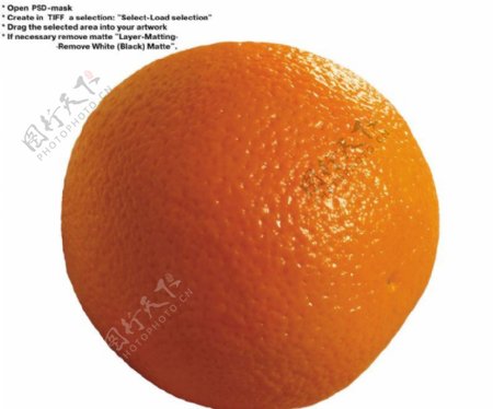 橙子特写0039